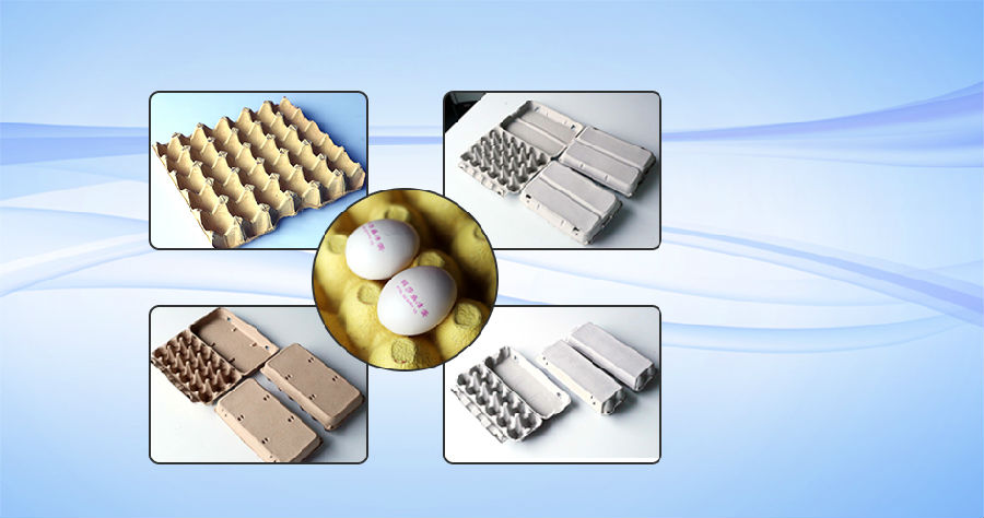 深圳市振野蛋品智能设备股份有限公司