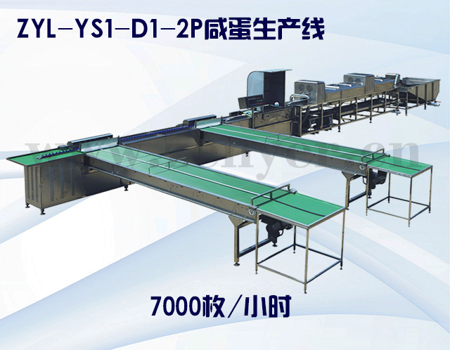 ZYL-YS1-D1-2P咸蛋生产线.jpg