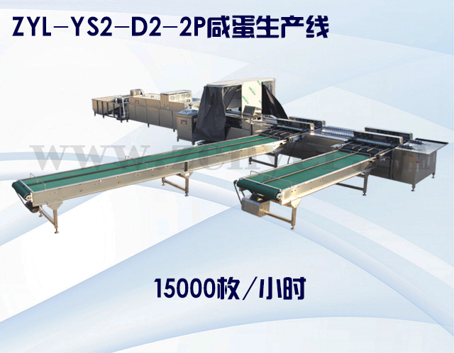 ZYL-YS2-D2-2P咸蛋生产线.jpg