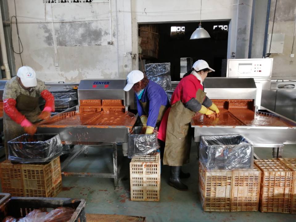 振野裂痕检测分级机之公安藕池使用现场 振野裂痕检测分级机之公安藕池使用现场